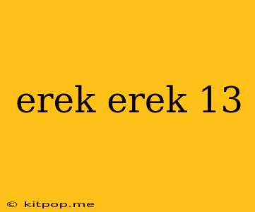 Erek Erek 13