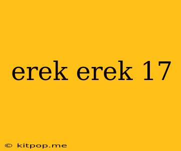 Erek Erek 17