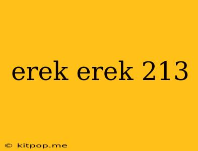 Erek Erek 213