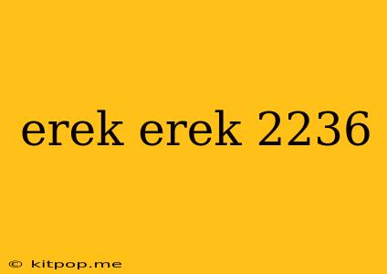 Erek Erek 2236