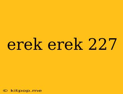 Erek Erek 227