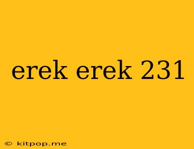 Erek Erek 231