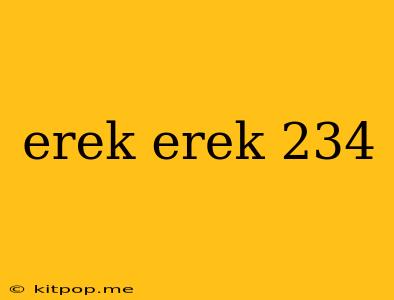 Erek Erek 234