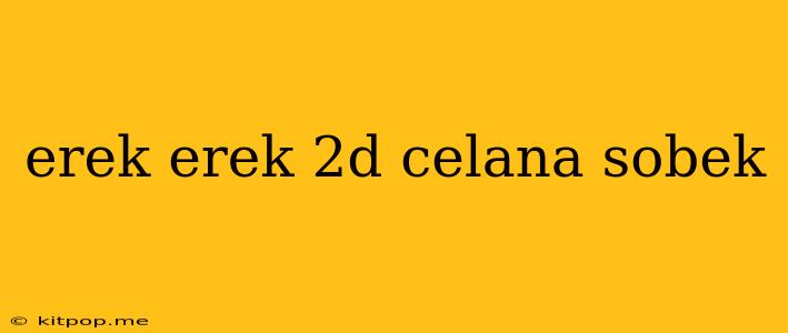 Erek Erek 2d Celana Sobek