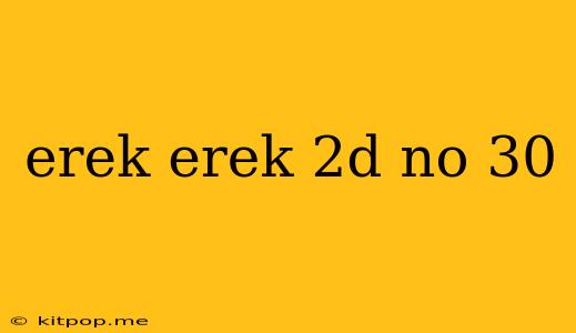 Erek Erek 2d No 30