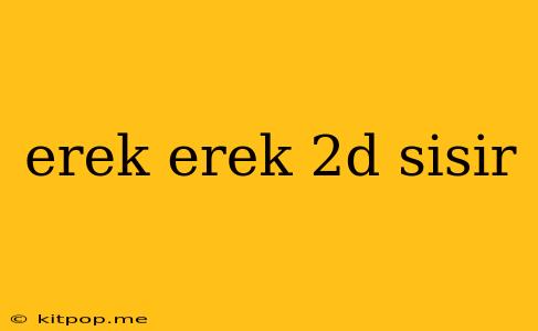 Erek Erek 2d Sisir