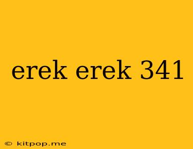 Erek Erek 341