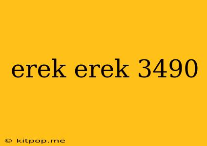 Erek Erek 3490