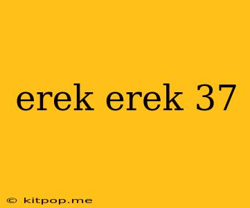 Erek Erek 37