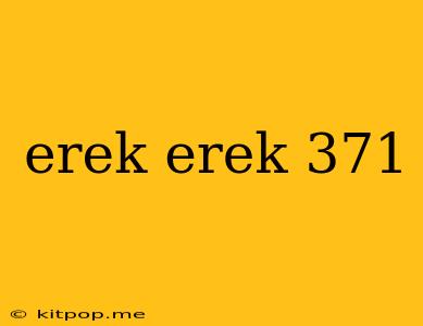 Erek Erek 371