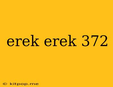 Erek Erek 372