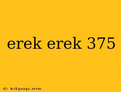 Erek Erek 375