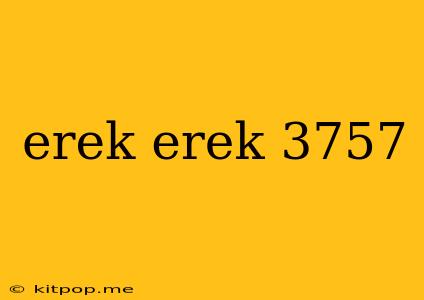 Erek Erek 3757