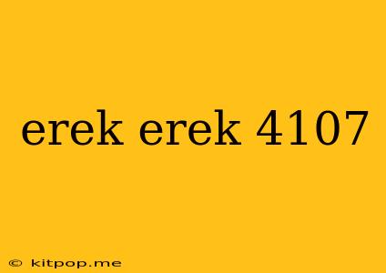 Erek Erek 4107