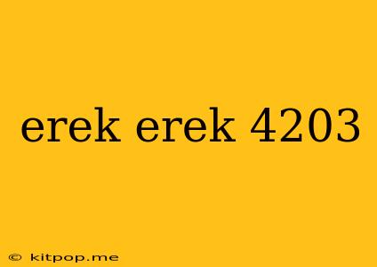 Erek Erek 4203