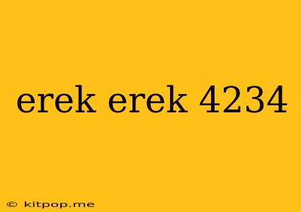 Erek Erek 4234