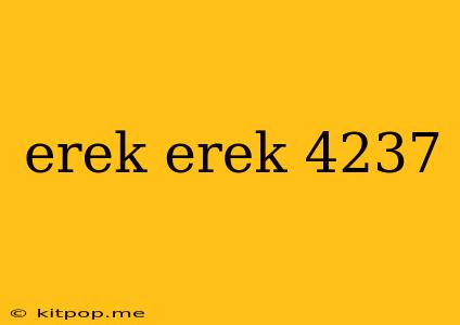 Erek Erek 4237