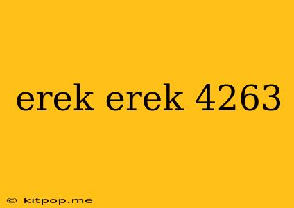 Erek Erek 4263