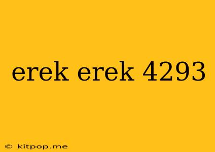 Erek Erek 4293