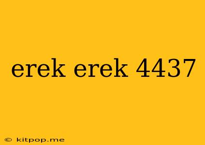 Erek Erek 4437