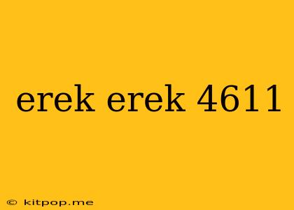 Erek Erek 4611