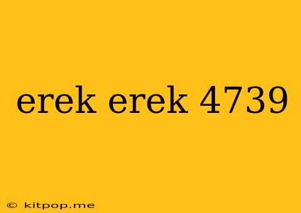 Erek Erek 4739