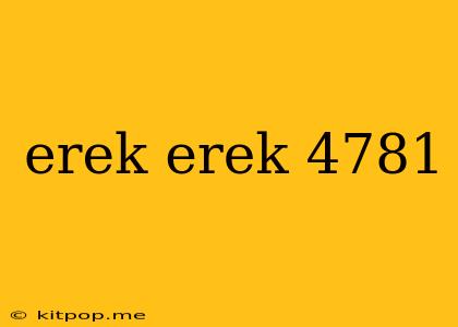 Erek Erek 4781