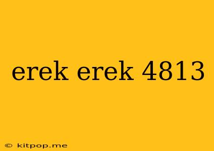 Erek Erek 4813