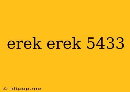 Erek Erek 5433