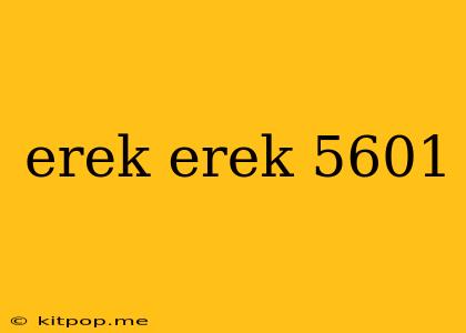 Erek Erek 5601