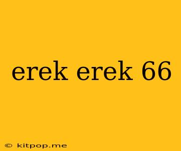 Erek Erek 66