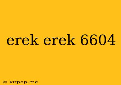 Erek Erek 6604