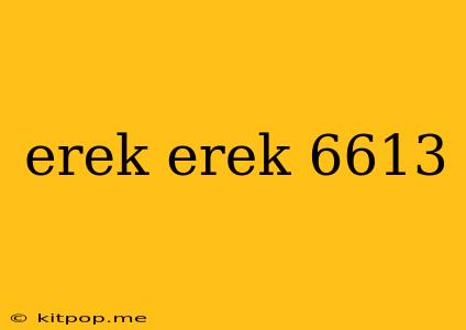 Erek Erek 6613