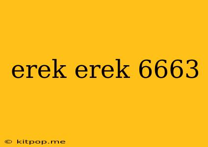 Erek Erek 6663