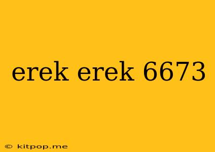 Erek Erek 6673