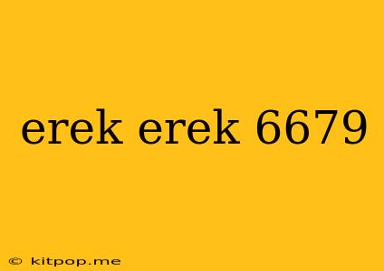 Erek Erek 6679