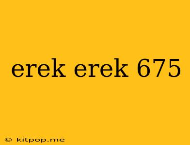 Erek Erek 675