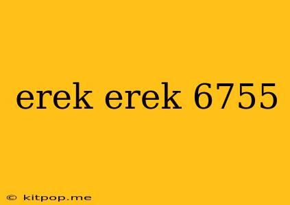 Erek Erek 6755