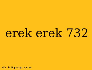 Erek Erek 732