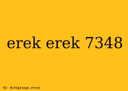 Erek Erek 7348