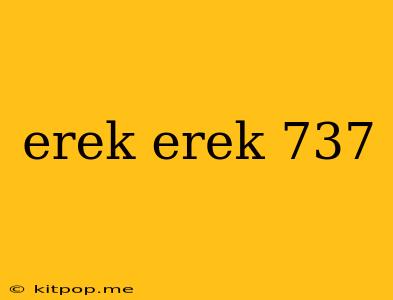 Erek Erek 737