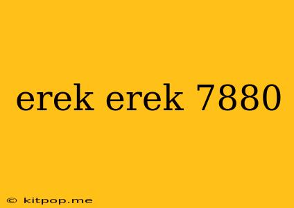 Erek Erek 7880