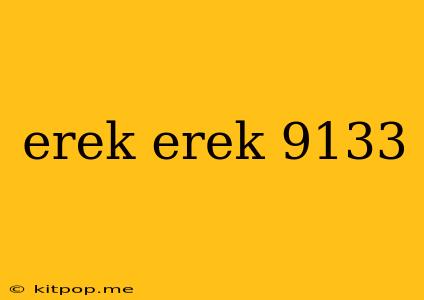 Erek Erek 9133