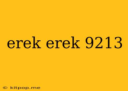 Erek Erek 9213