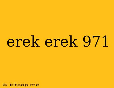 Erek Erek 971