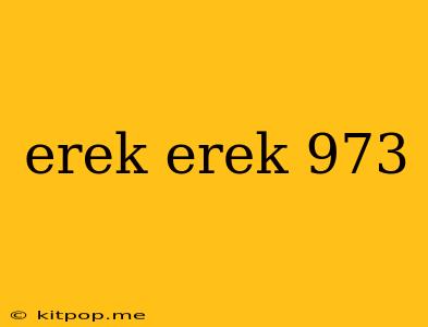 Erek Erek 973