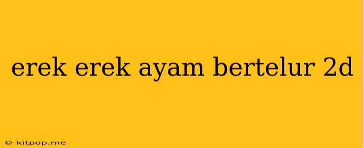 Erek Erek Ayam Bertelur 2d