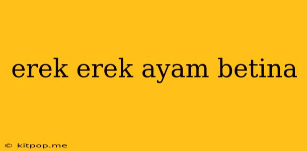 Erek Erek Ayam Betina