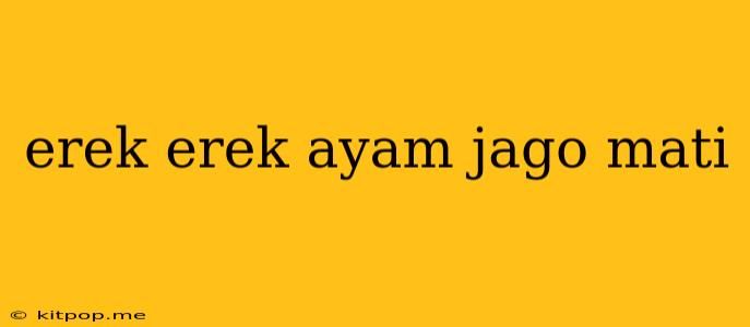 Erek Erek Ayam Jago Mati