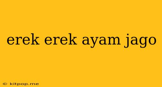 Erek Erek Ayam Jago